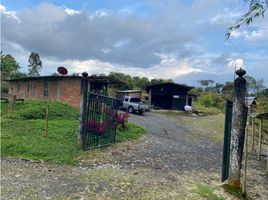 4 Habitación Casa en venta en Pereira, Risaralda, Pereira