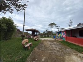 3 Habitación Casa en venta en El Santuario, Antioquia, El Santuario