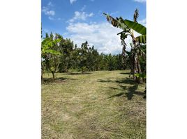  Terreno (Parcela) en venta en Ulloa, Valle Del Cauca, Ulloa