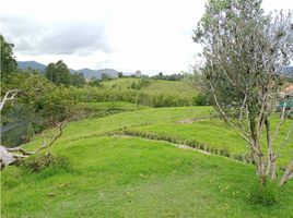  Terreno (Parcela) en venta en El Carmen De Viboral, Antioquia, El Carmen De Viboral