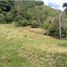  Land for sale in Dosquebradas, Risaralda, Dosquebradas