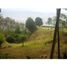  Land for sale in Dosquebradas, Risaralda, Dosquebradas