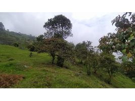  Land for sale in Barbosa, Antioquia, Barbosa