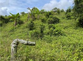  Land for sale in Pereira, Risaralda, Pereira