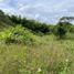  Land for sale in Pereira, Risaralda, Pereira