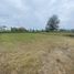  Land for sale in Rionegro, Antioquia, Rionegro