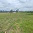  Land for sale in Rionegro, Antioquia, Rionegro