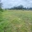  Land for sale in Rionegro, Antioquia, Rionegro