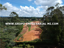  Land for sale in El Carmen De Viboral, Antioquia, El Carmen De Viboral