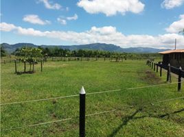 Estudio Casa en venta en Colombia, Montenegro, Quindio, Colombia