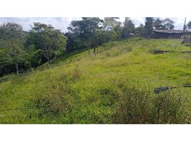  Terreno (Parcela) en venta en Pereira, Risaralda, Pereira