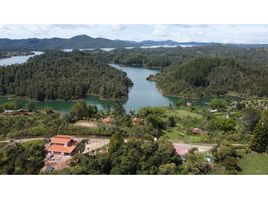  Terreno (Parcela) en venta en Penol, Antioquia, Penol