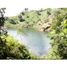  Land for sale in Arboletes, Antioquia, Arboletes
