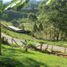 8 Habitación Casa en venta en Rionegro, Antioquia, Rionegro, Antioquia