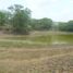  Land for sale in Bolivar, Cartagena, Bolivar