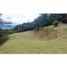  Land for sale in Envigado, Antioquia, Envigado