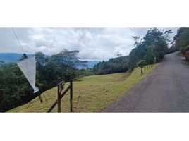  Land for sale in Envigado, Antioquia, Envigado