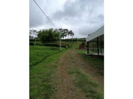  Land for sale in Manizales, Caldas, Manizales