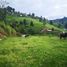 Terrain à vendre à Medellin, Antioquia, Medellin, Antioquia