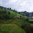 Terrain à vendre à Medellin, Antioquia, Medellin, Antioquia