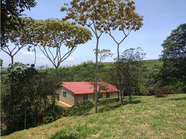 4 Habitación Casa en venta en Cauca, Toribio, Cauca