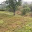  Land for sale in Manizales, Caldas, Manizales