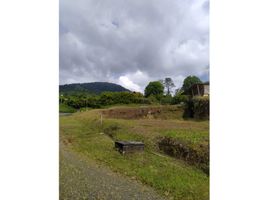  Terreno (Parcela) en venta en Dosquebradas, Risaralda, Dosquebradas