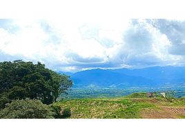  Land for sale in Pereira, Risaralda, Pereira