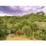 Terrain à vendre à Rionegro, Antioquia, Rionegro