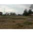  Land for sale in Palmira, Valle Del Cauca, Palmira