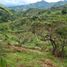  Grundstück zu verkaufen in Marinilla, Antioquia, Marinilla