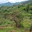  Grundstück zu verkaufen in Marinilla, Antioquia, Marinilla