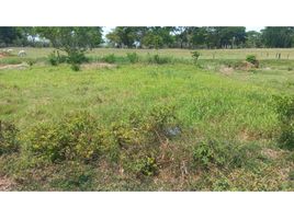  Land for sale in Cordoba, Monteria, Cordoba