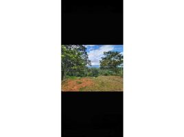  Land for sale in Valle Del Cauca, Dagua, Valle Del Cauca