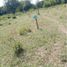  Land for sale in Bolivar, Turbaco, Bolivar