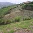  Land for sale in Manizales, Caldas, Manizales