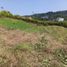  Land for sale in Manizales, Caldas, Manizales