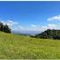  Land for sale in Rionegro, Antioquia, Rionegro