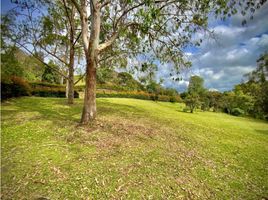  Terreno (Parcela) en venta en La Ceja, Antioquia, La Ceja