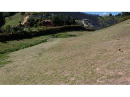  Land for sale in El Carmen De Viboral, Antioquia, El Carmen De Viboral