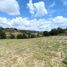  Land for sale in San Vicente, Antioquia, San Vicente