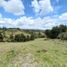  Land for sale in San Vicente, Antioquia, San Vicente