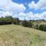  Land for sale in San Vicente, Antioquia, San Vicente