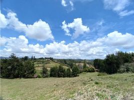  Land for sale in San Vicente, Antioquia, San Vicente