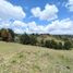  Land for sale in San Vicente, Antioquia, San Vicente