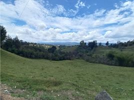  Terreno (Parcela) en venta en Guarne, Antioquia, Guarne