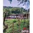 Studio Villa for sale in Ansermanuevo, Valle Del Cauca, Ansermanuevo