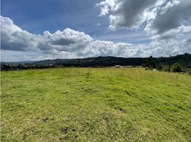  Land for sale in Rionegro, Antioquia, Rionegro