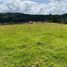  Land for sale in Rionegro, Antioquia, Rionegro