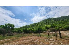  Terreno (Parcela) en venta en Quinta de San Pedro Alejandrino, Santa Marta, Santa Marta